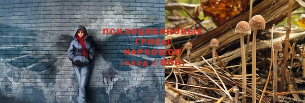 прущий лед Волосово