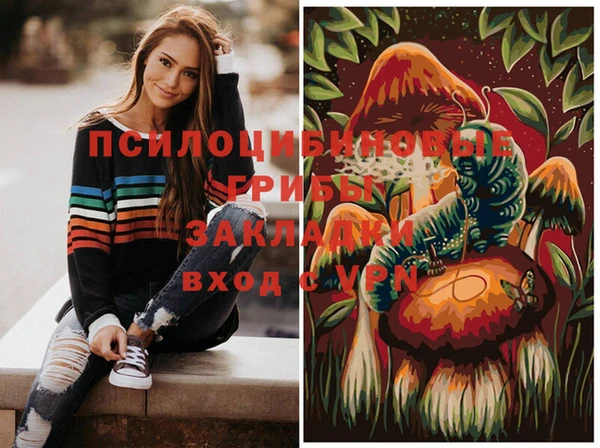 молекула духа Володарск